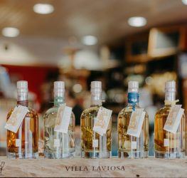 Fachvorträge und Tastings